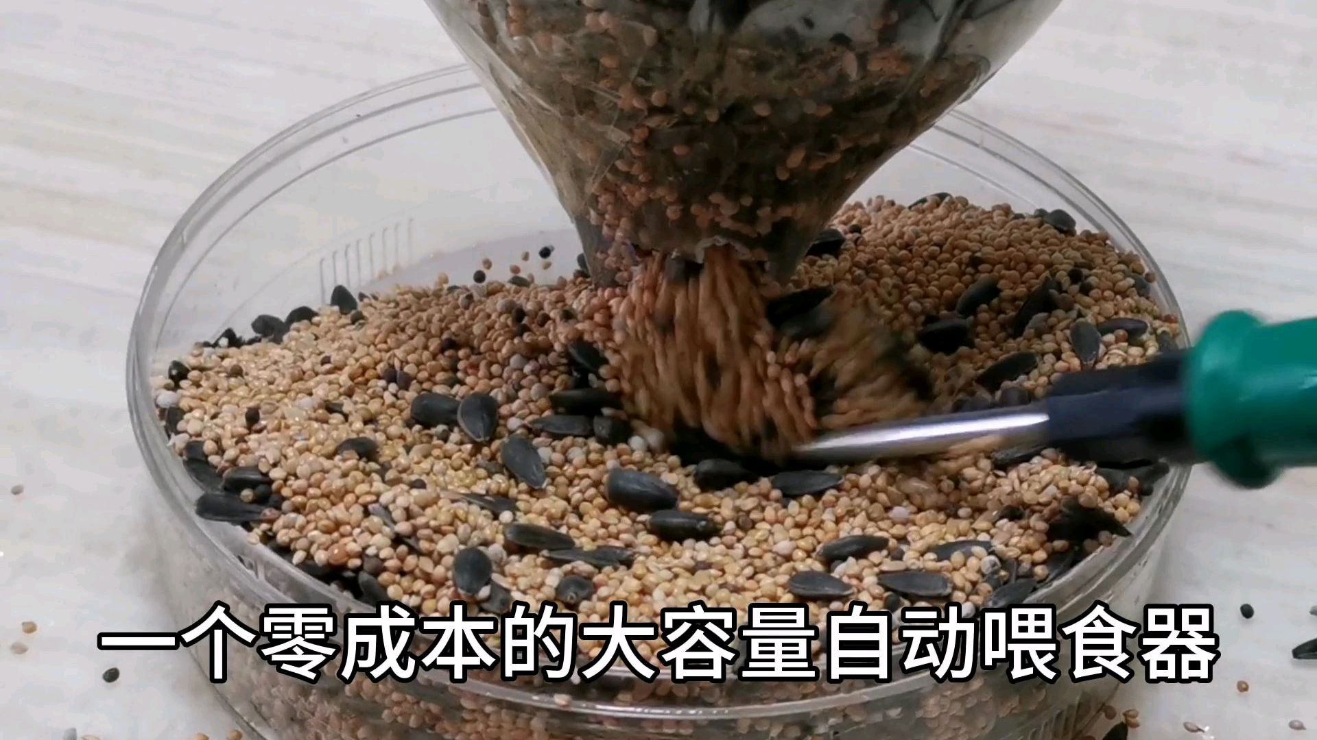 零成本自制大容量鸟类自动喂食器,出门半月不用担心萌宠们