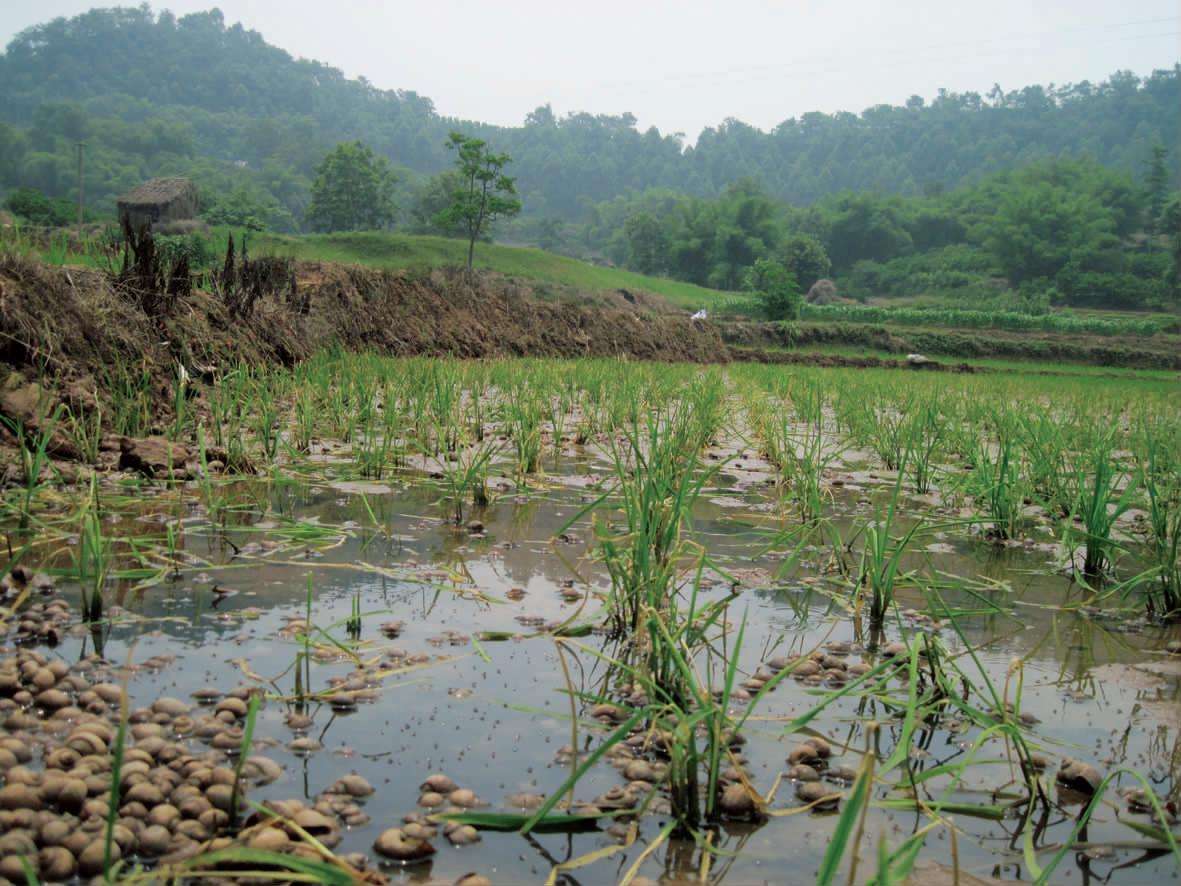 田螺- 优质问答专区