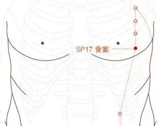 食窦的准确位置图作用图片