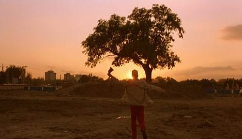 陈凯歌的"百花深处"