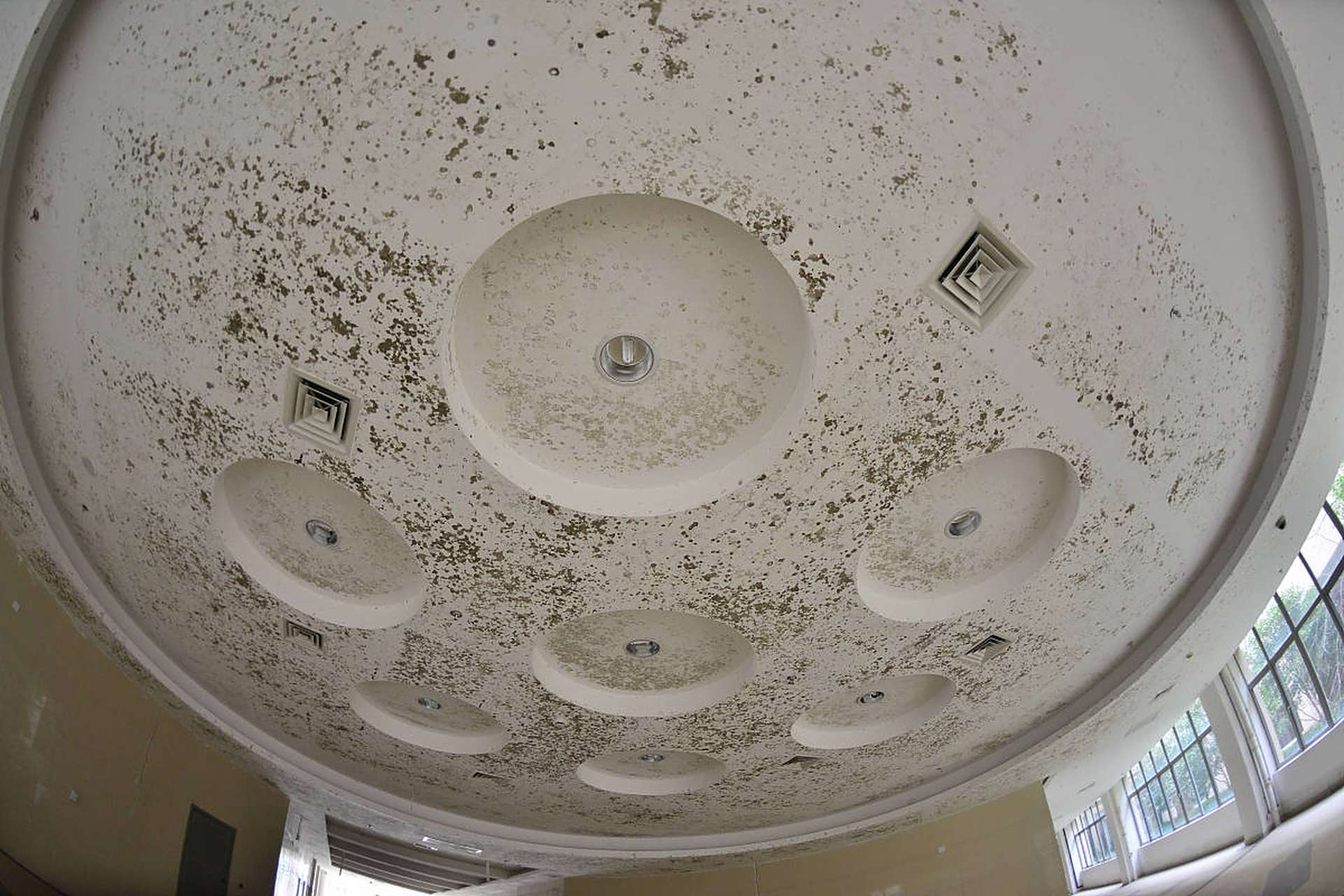 墙体发霉的房子不能住人#  墙体发霉是日常生活中