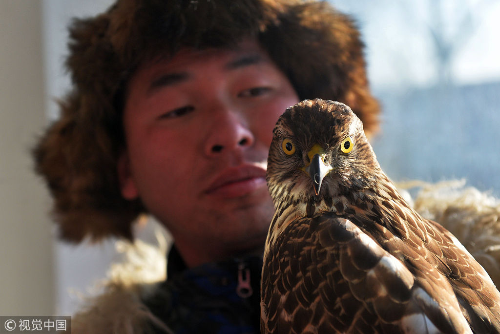 吉林市气温低至零下20度 游客冒严寒欣赏满族猎鹰表演