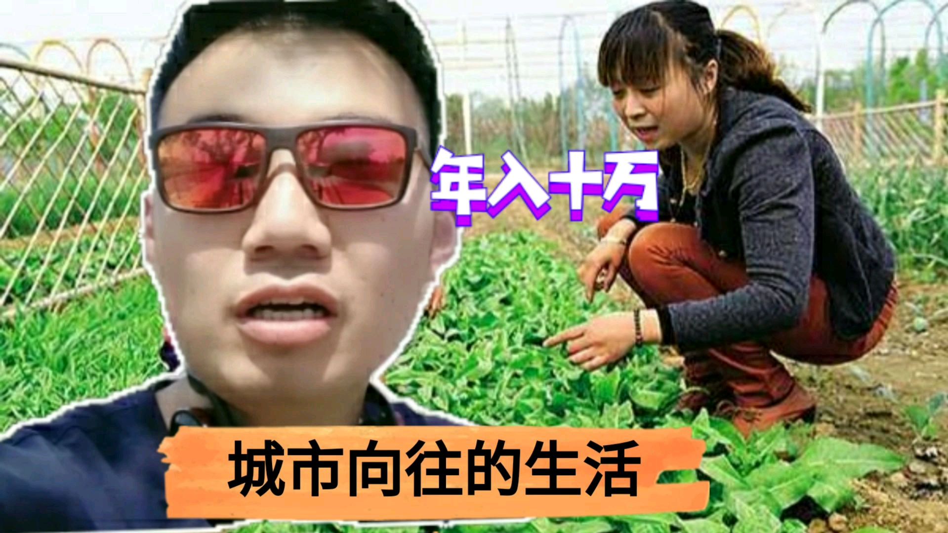 陪市区朋友去租赁菜园,这农村大姐创意绝了,一年多增收10万