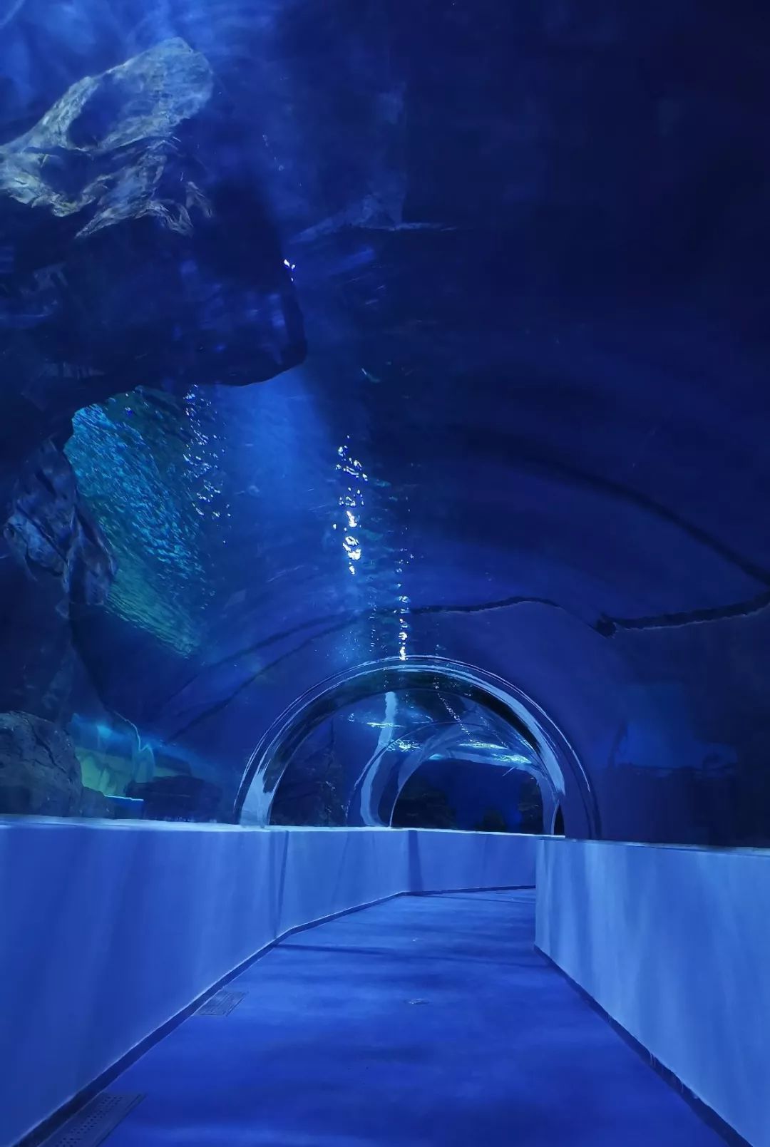 梦幻!西宁有了第一条海底隧道,看看在哪?