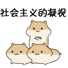 我见过最大的人设崩塌,从0到1