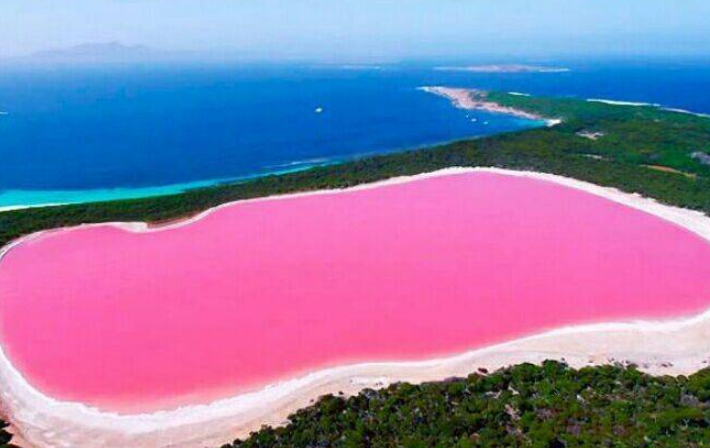 澳大利亚玫瑰湖图片