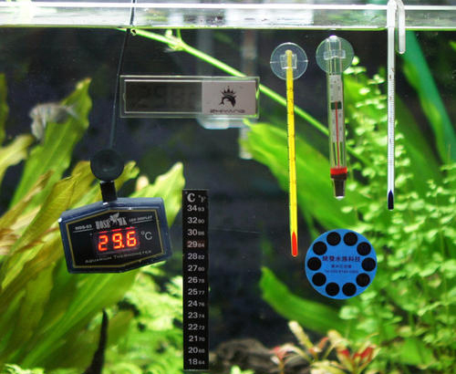 养鱼小窍门:如何判断自家鱼缸温度计是否准确?