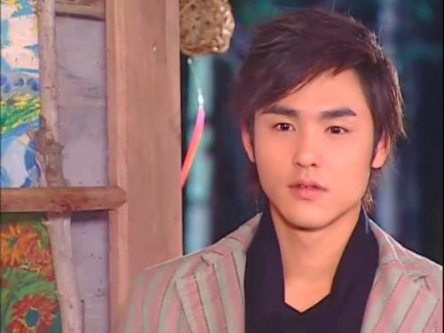 阮经天 以上就是小编推荐的十几部台湾偶像剧,大家全都看过吗?