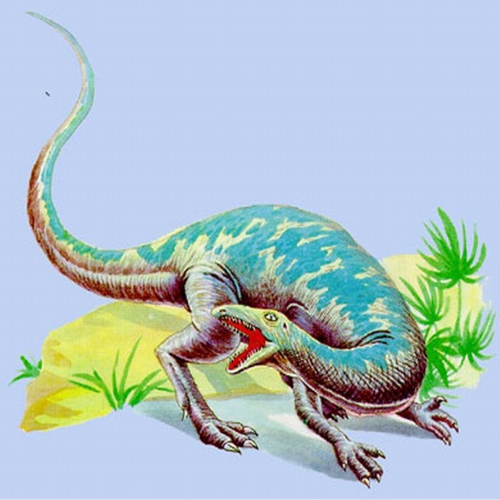 假鳄类知识科普,教你轻松识别假鳄类