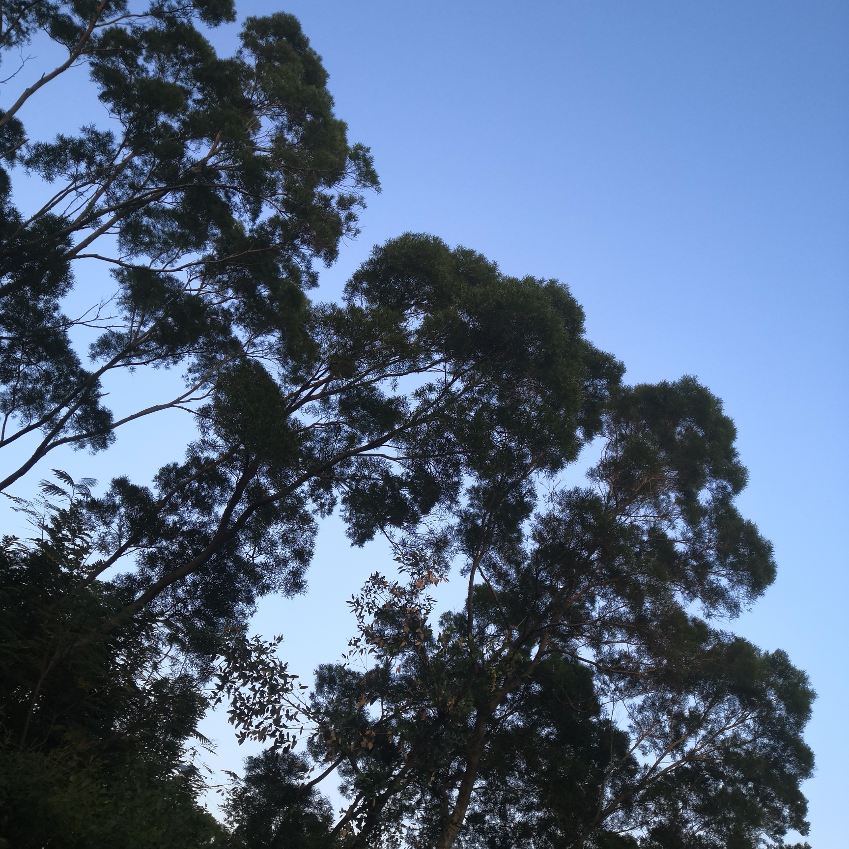 波兰人为什么极度仇视俄国人