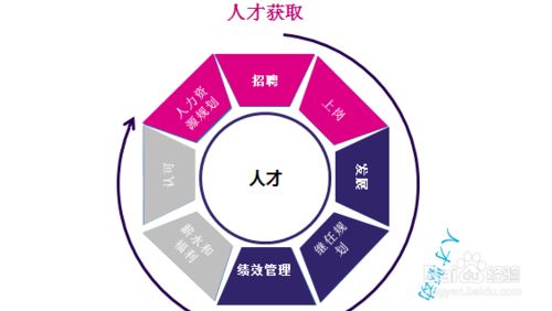 360人才测评工具=360人才测评工具下载