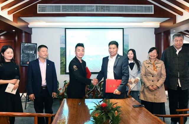 电影《龙井》你会去看吗?