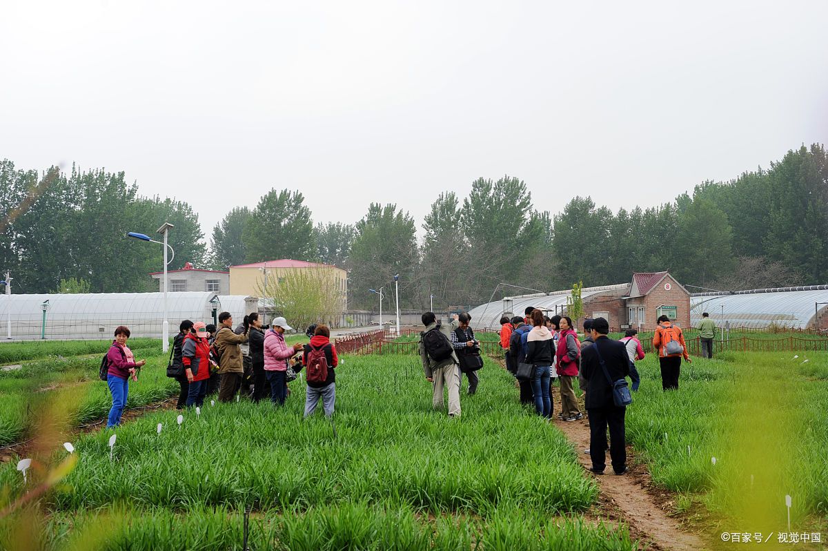 我今天要跟大家分享一个超级好玩的地方