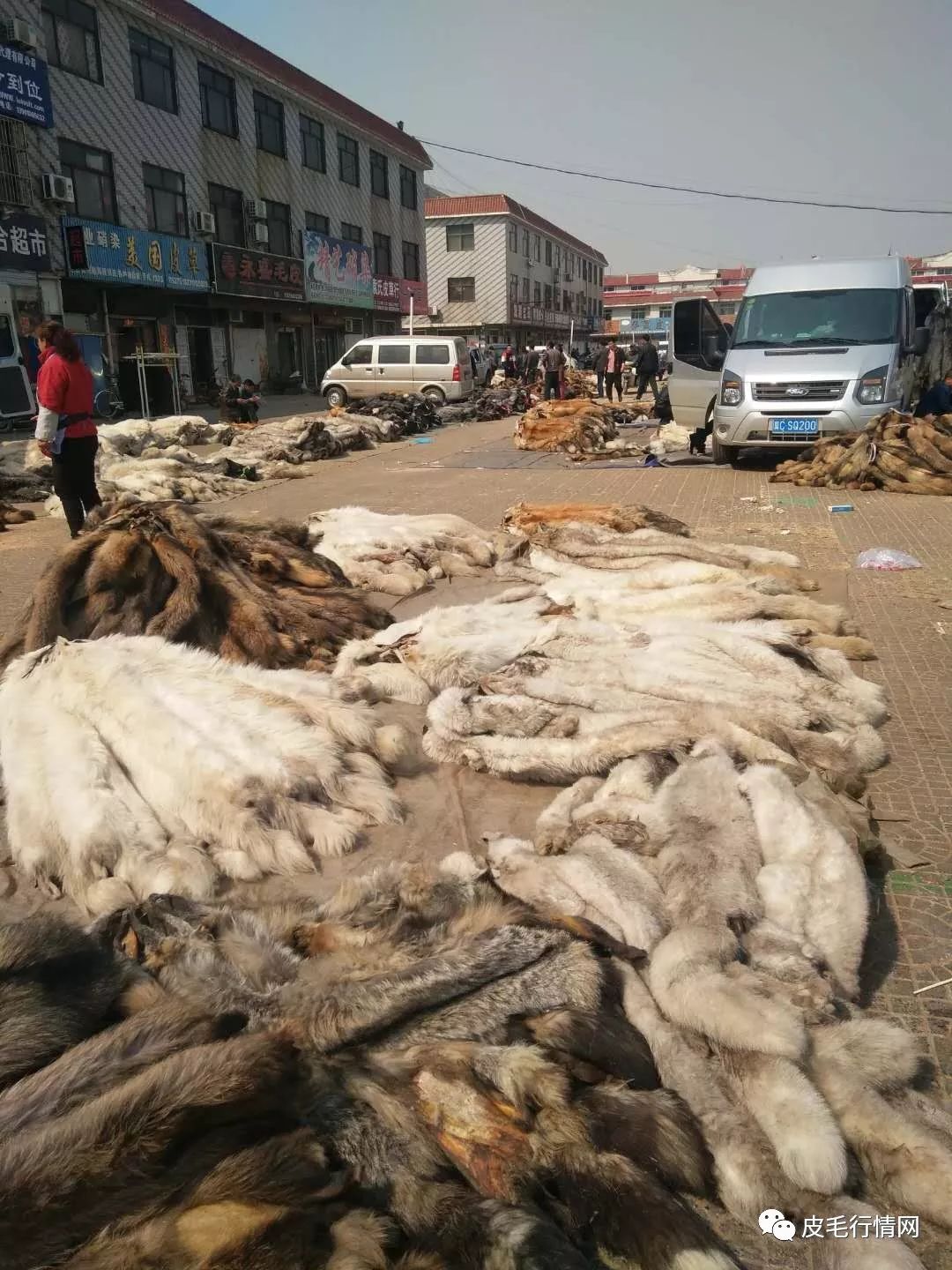 9尚村皮毛市场行情介绍