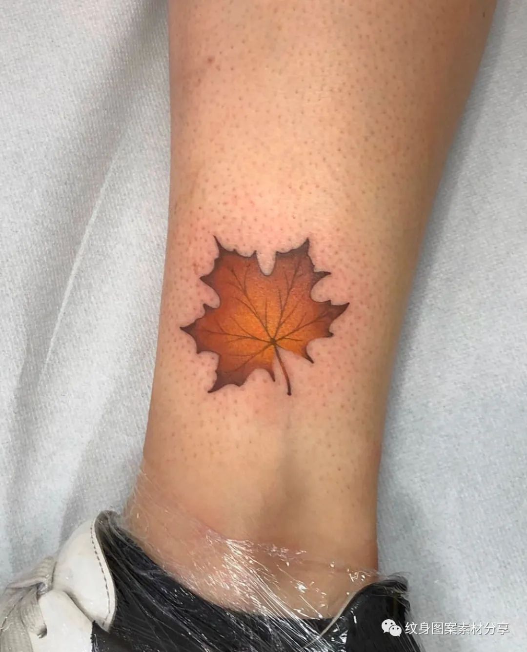 纹身图案素材分享:50多款不同风格的枫叶纹身