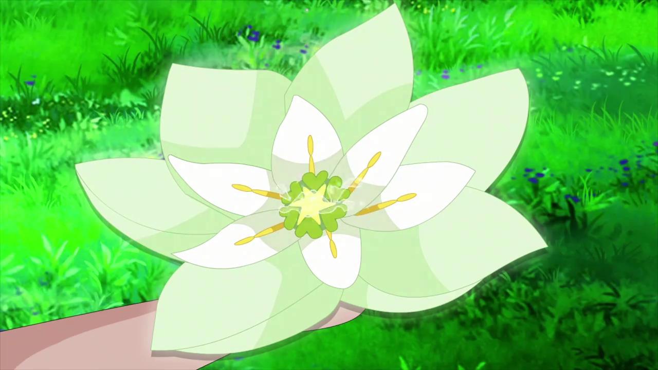 《小花仙》测试,看花朵猜花名,这8个到底是什么花仙精灵王?