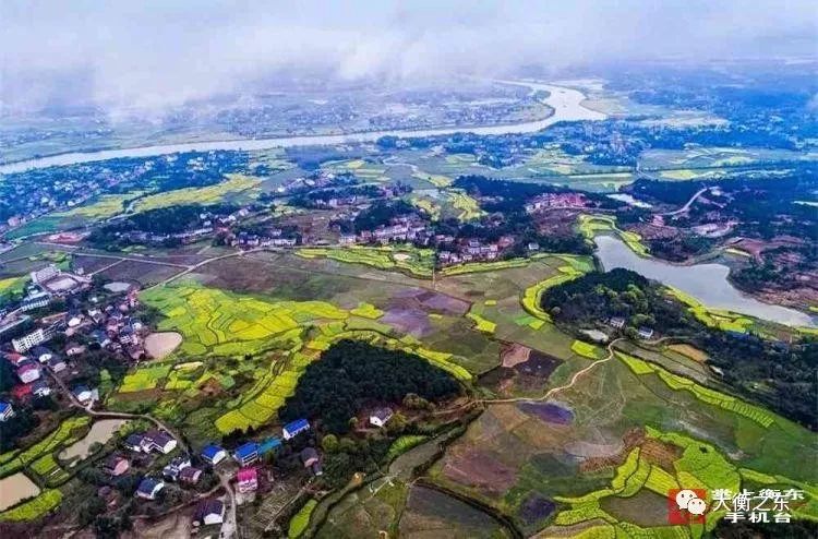 油菜花香:衡东县高湖镇"花事"正当时