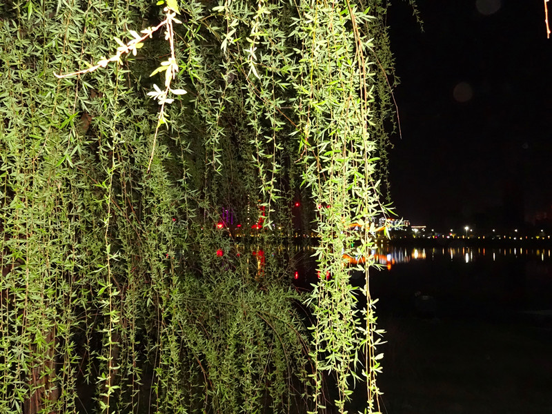 彩虹,垂柳,大坝,江水,夜晚的丹江口水库坝下风光格外美