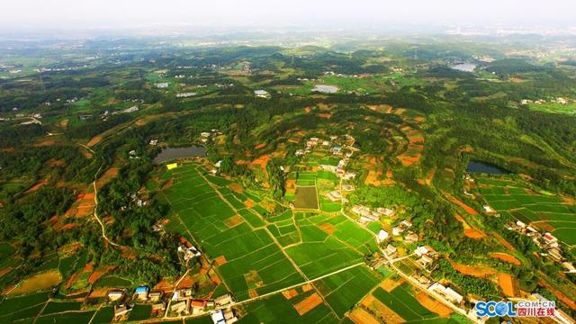 四川盆地图片全景图片