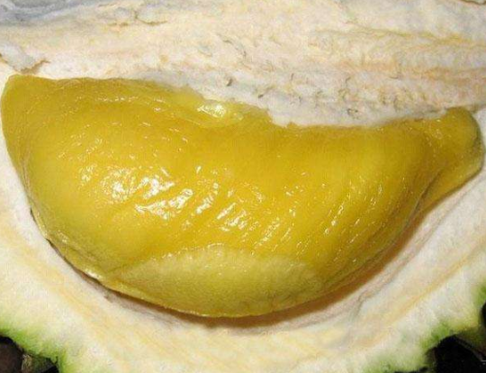 大胃王吃"巨型"榴莲,有20斤重,仔细一看竟然是它:差点信了!