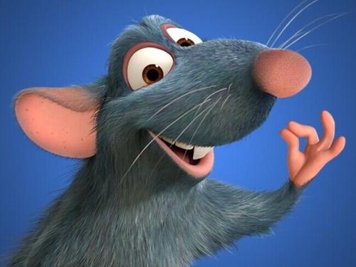 会做饭的小老鼠,还不偷吃,你想要吗?