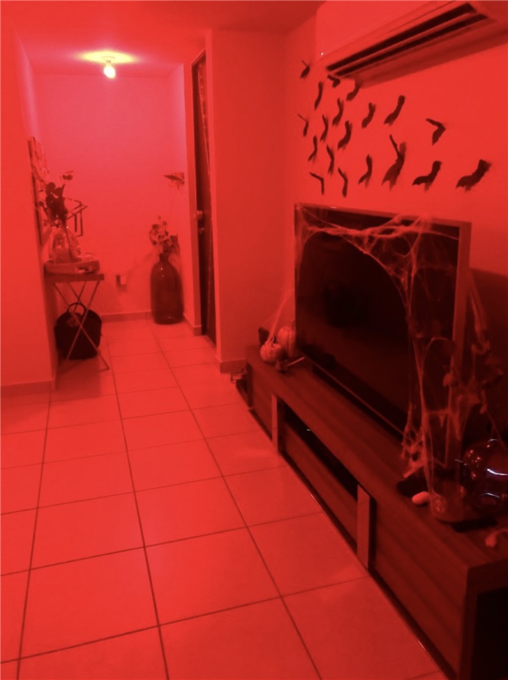 谷歌pixel 4已修复相机自动白平衡问题