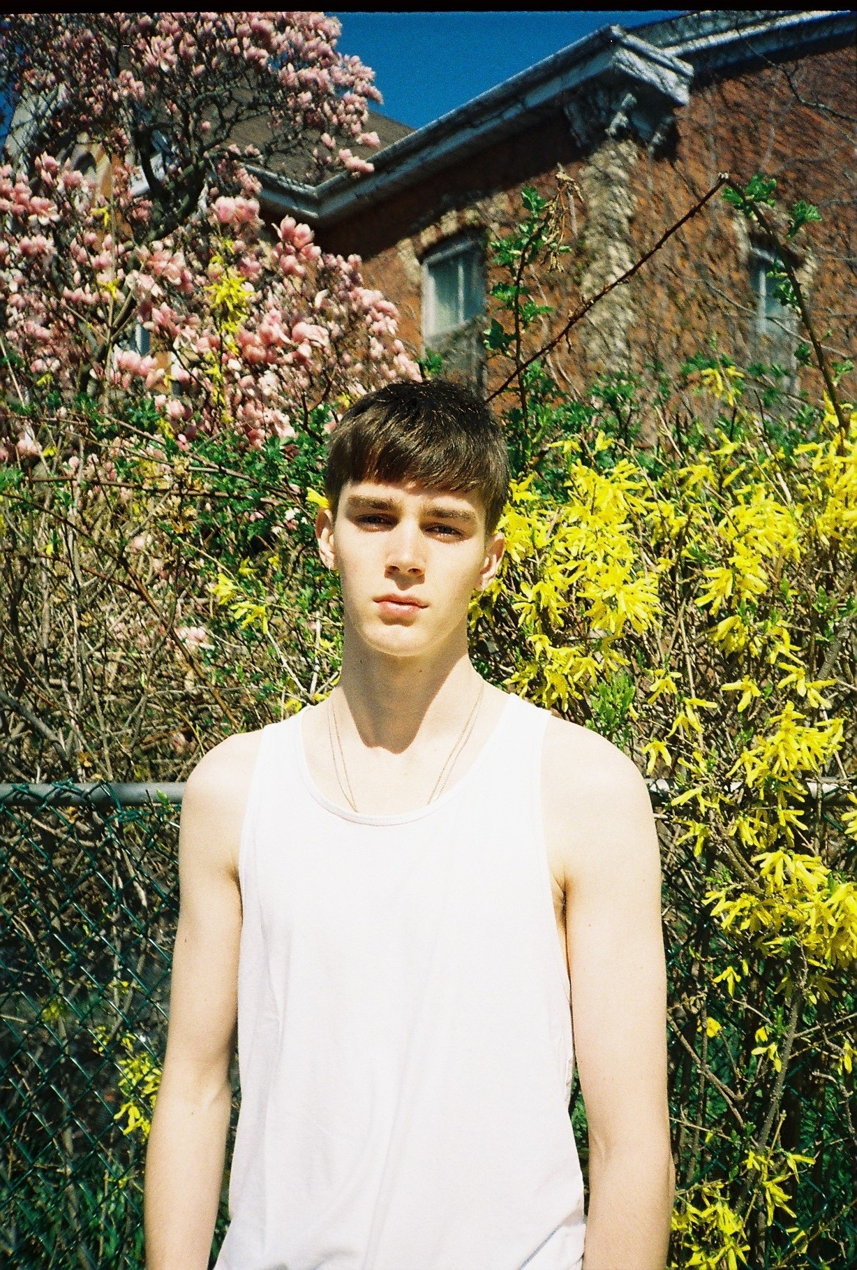 少年感十足男模mitchell gorthy,能否靠颜值取胜?