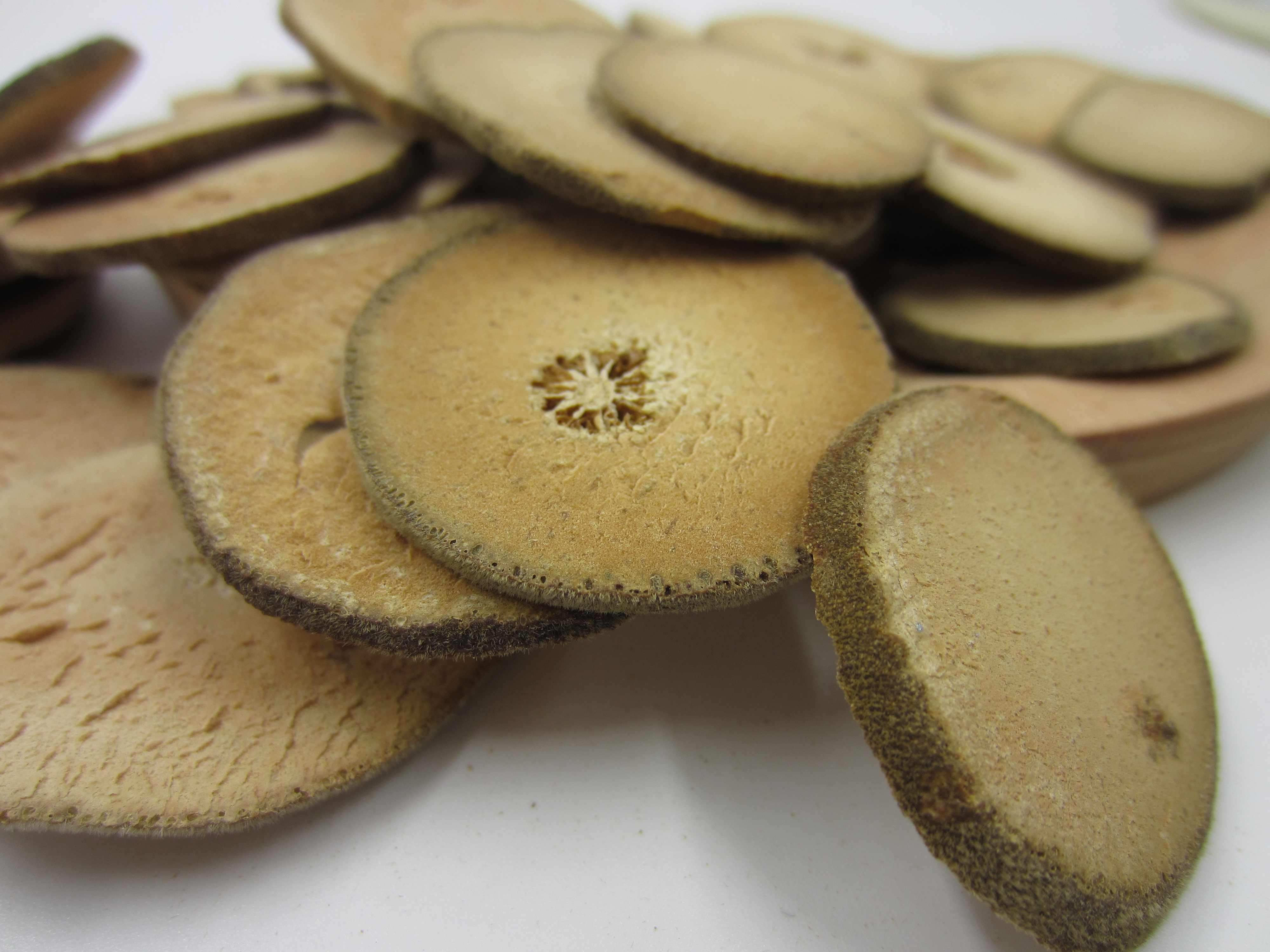 简谈化州橘红圆果与压果的区别