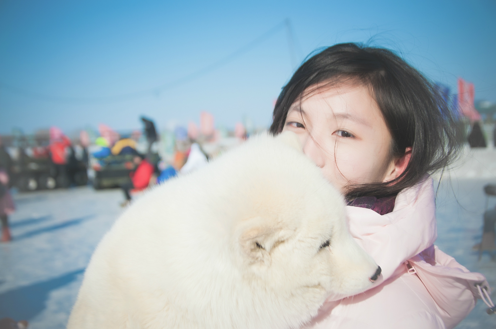 代码女神图片