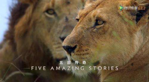 纪录片只服bbc——《王朝》