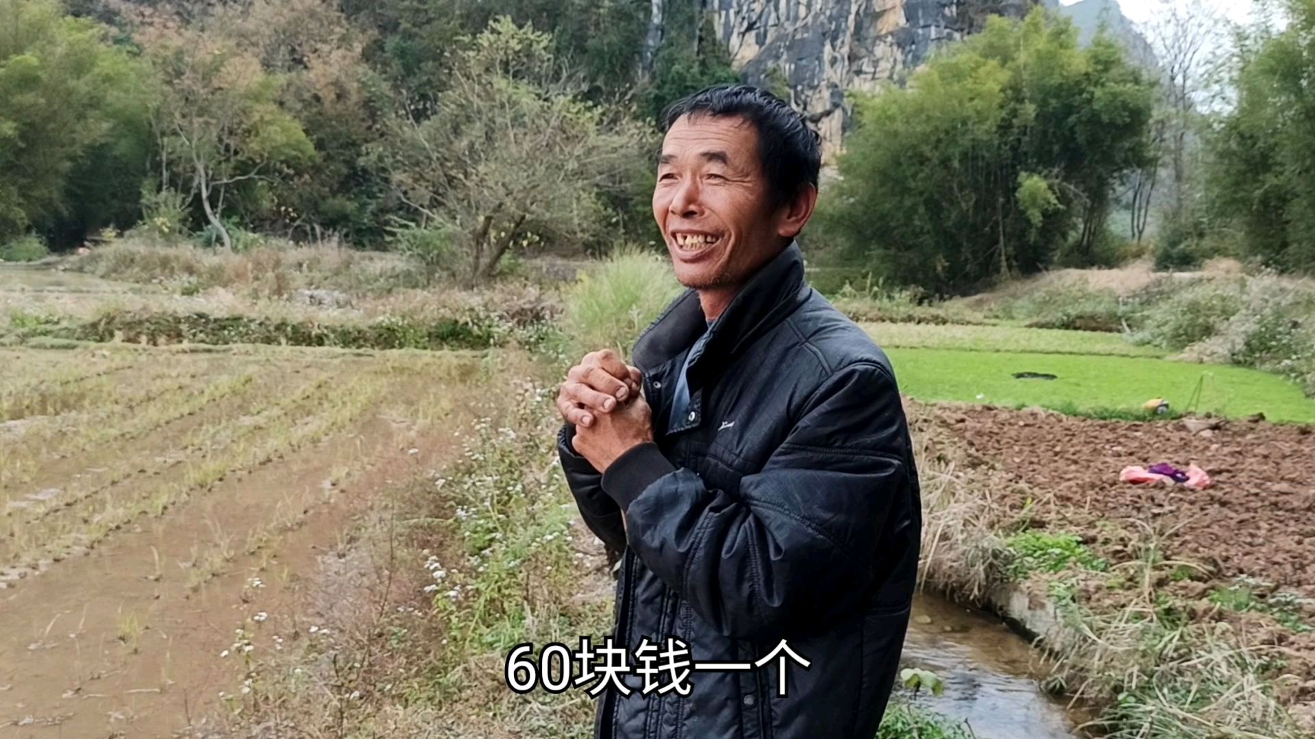 今年养鸭行情不错,农村大哥每只鸭子能卖到60块钱