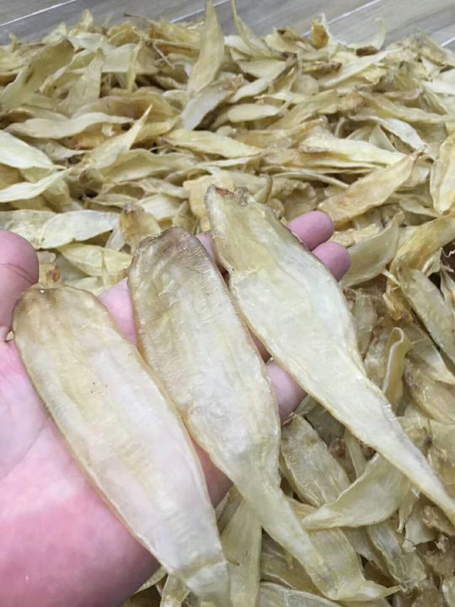 花胶也不都是贵的:说说那些吃一碗倒一碗都不心疼的"菜胶"