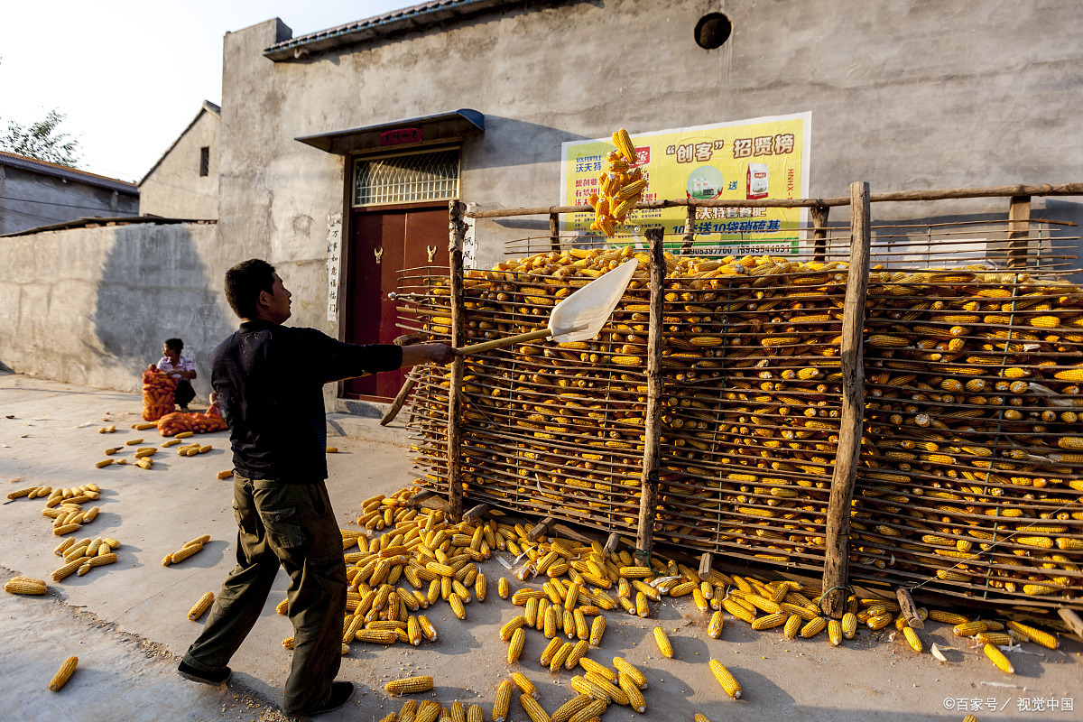 玉米储存 - 2020年最新商品信息聚合专区 - 百度爱采购