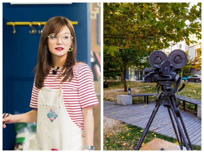 王菲,赵薇,周迅,那英毕业于这4所大学,差距一目了然!