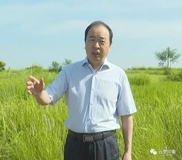 云梦县委书记郭国文调研督办抗旱工作