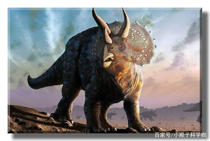 琥珀中又有新发现,它与恐龙同时代,恐龙灭绝了,而它遍布全世界 琥珀中又有新发现,它与恐龙同时代,恐龙灭绝了,而它遍布全世界