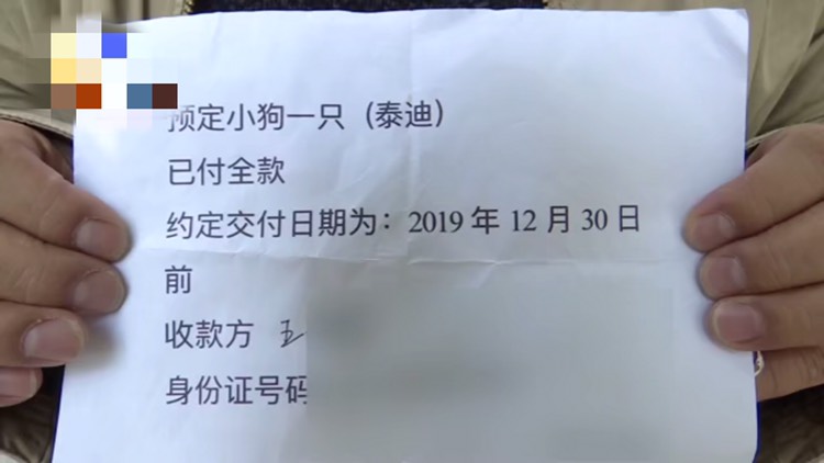 男子用手机换狗,现在全网寻找"欠狗人:依然相信你不是骗子