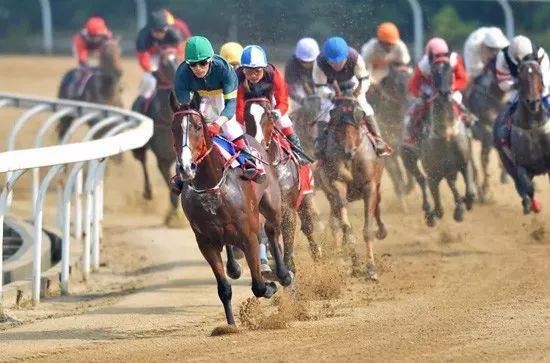 海南成立多家赛马公司 海南国资委参股赛马娱乐公司