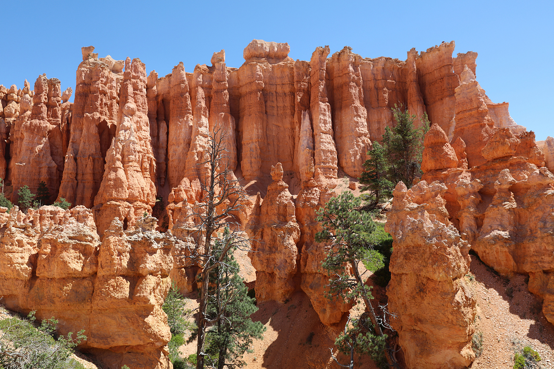 在云南曲靖市南部陆良县的马街镇,隐藏着一处令人叹为观止的自然奇观