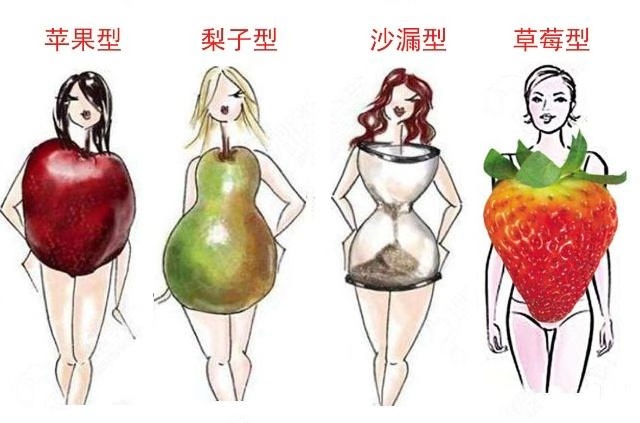 女性身材类型四种图片