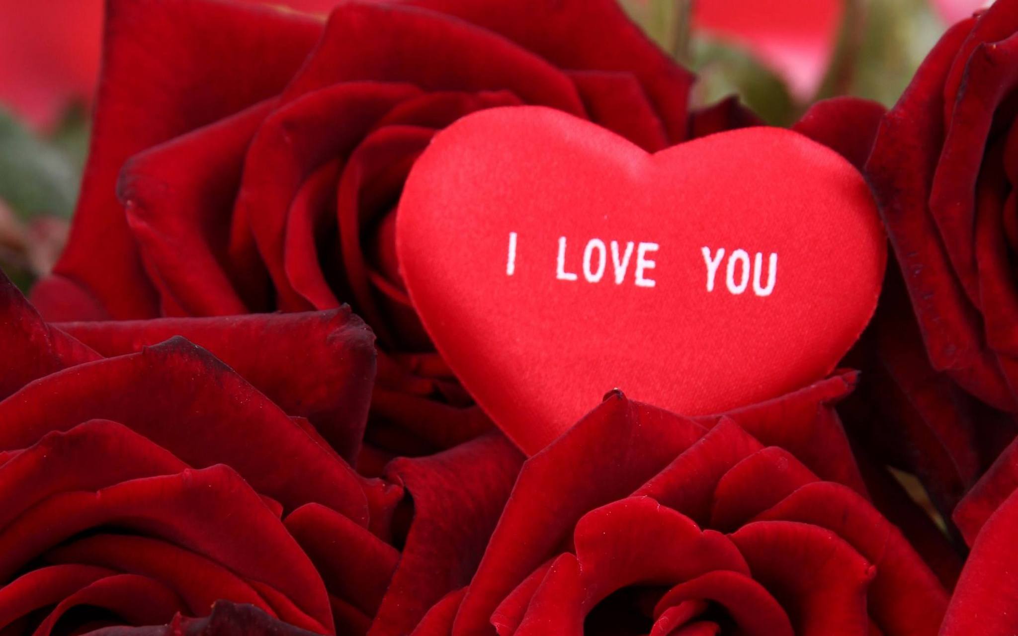 她一脸幸福,说:"别闹了,这么多人.