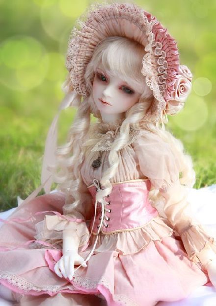 娃娃- 热门商品专区