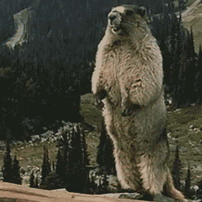 城郊一老板微信被盗刷,又是这个原因!