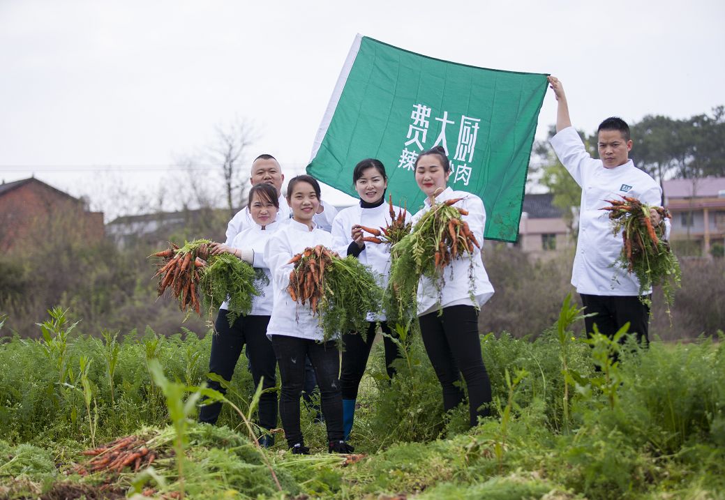 万斤萝卜滞销,费大厨全员下乡拔萝卜收购