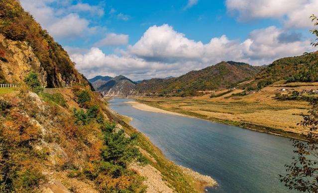 铁桦树 百度百科