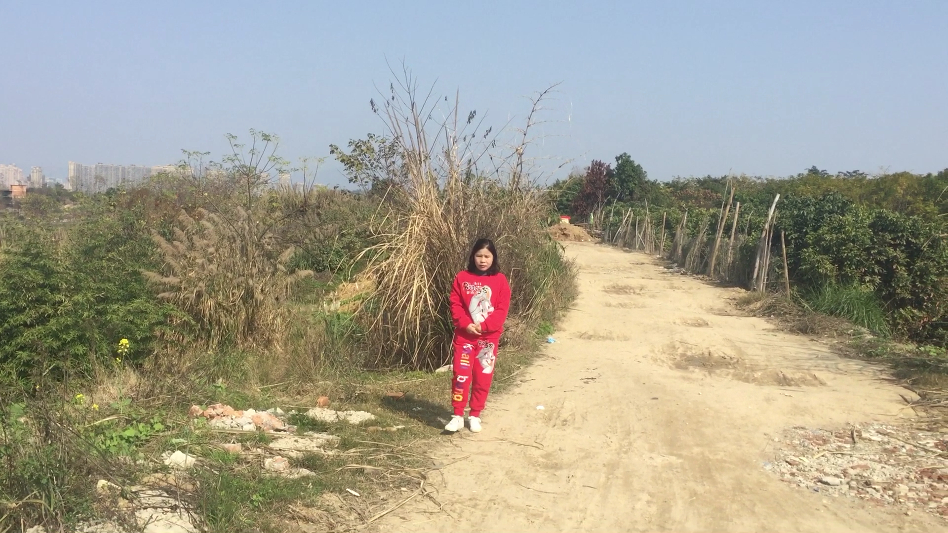 一路闲游,忽然看到儿时的一种果实,却叫不出名称?
