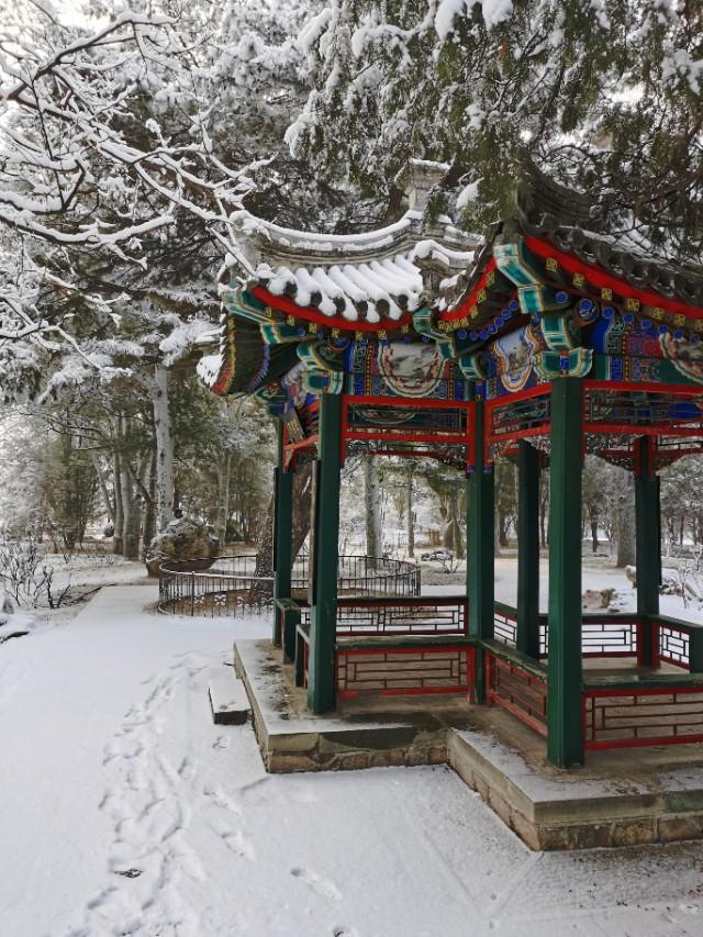 雪漠香山 净如琉璃 晏游雪景美爆朋友圈