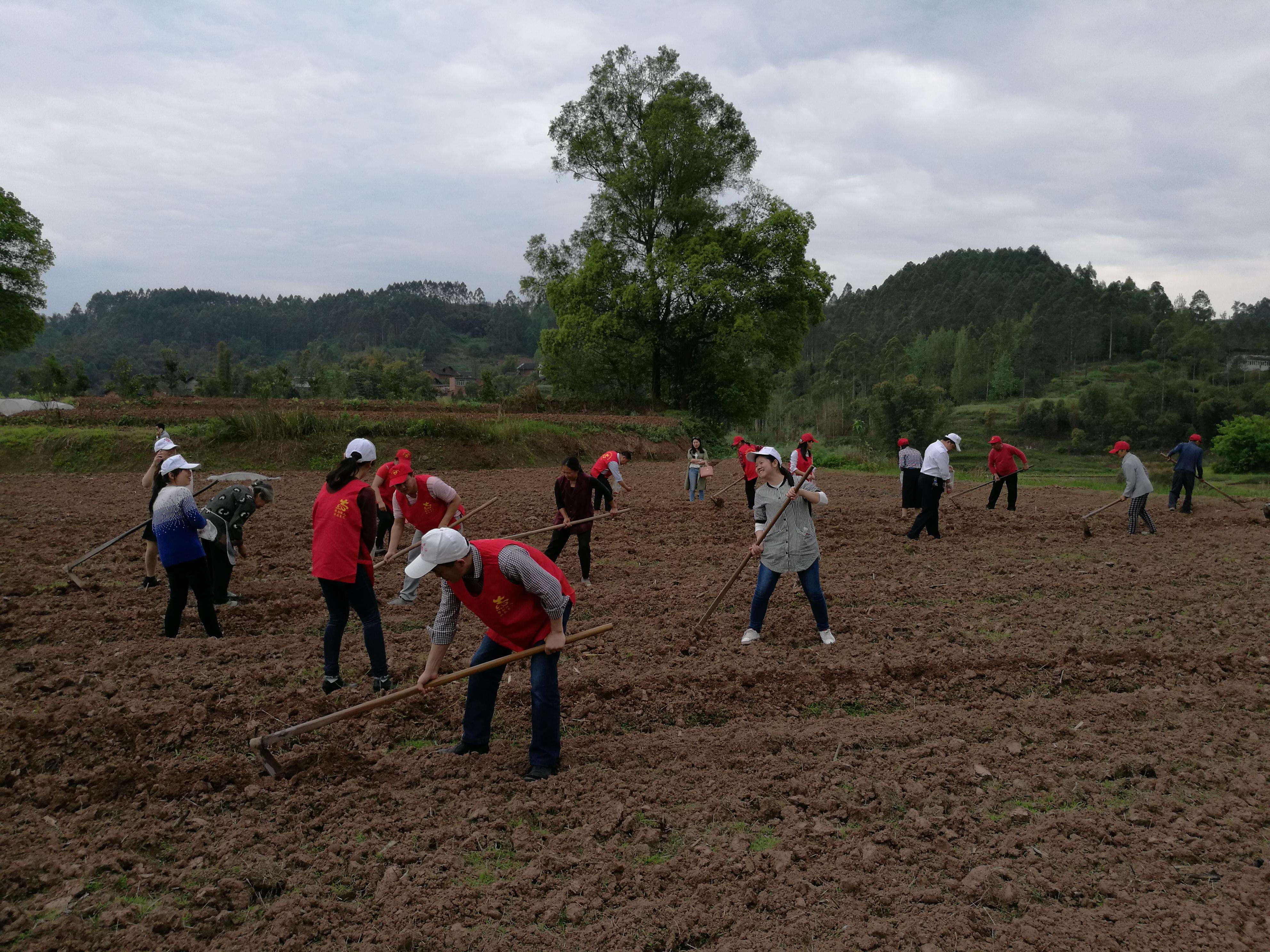 农村开荒地将"强制收回"?这些问题要清楚,一类土地将无偿收回