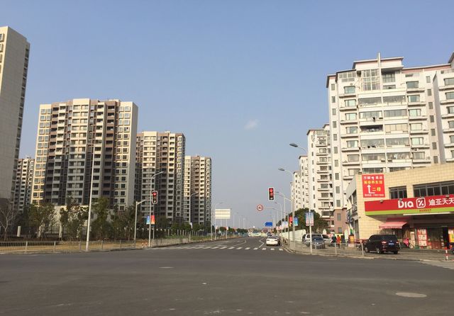 上海市浦东新区万祥镇一瞥