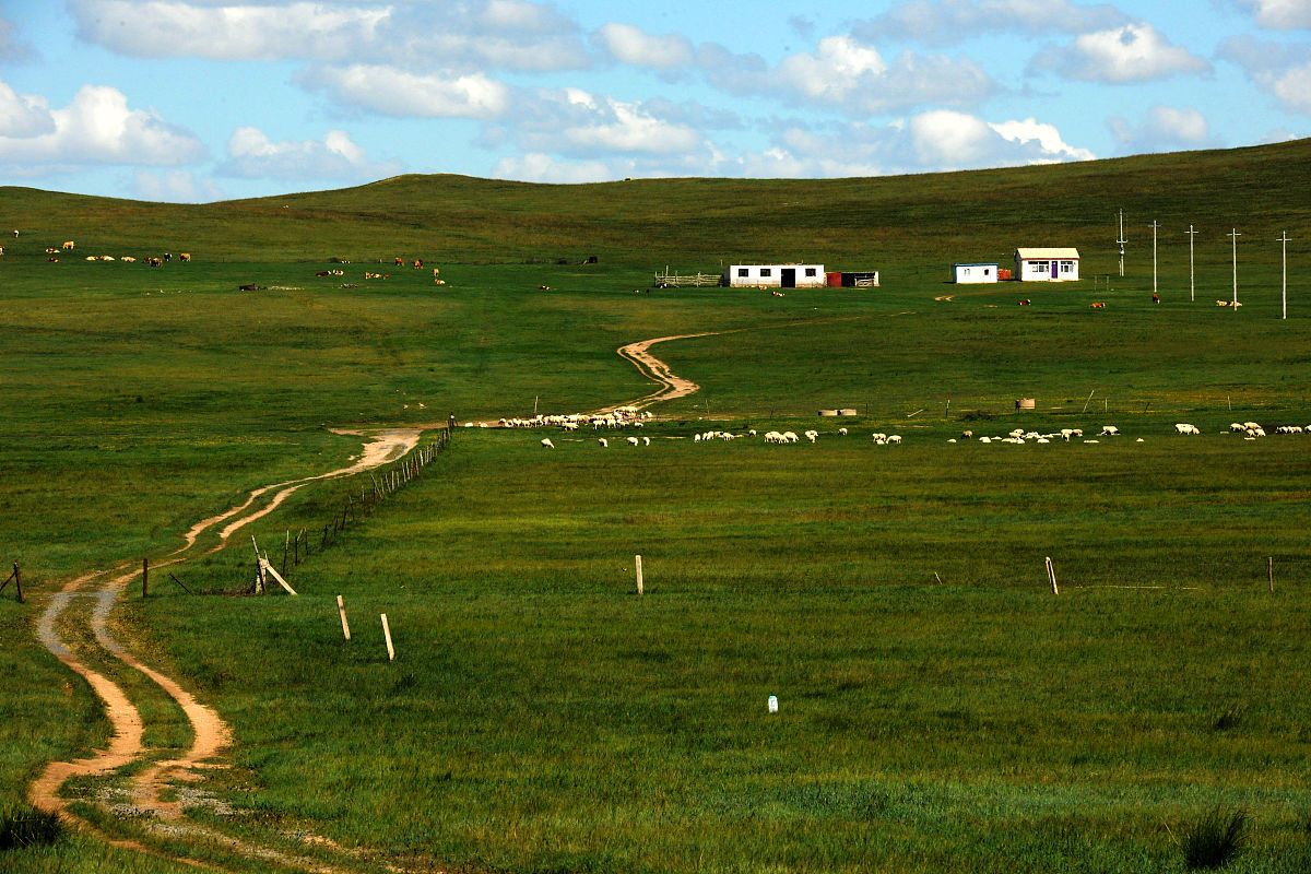 康西草原自驾游攻略包括前期准.@小洋旅游攻略的动态